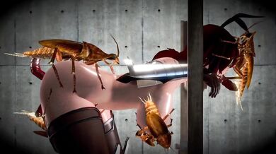 Cockroach Gangbang for Shiranui