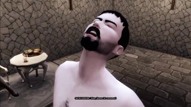 The Noblian Chronicles: The Wrath of the Naughty Netherworld Nymphs