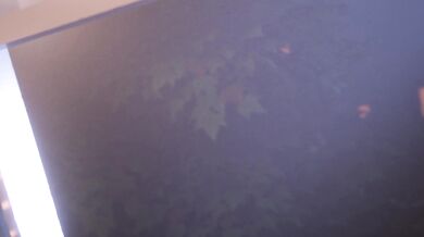 Mavis' Window Peeping [Scraggy_Boy]