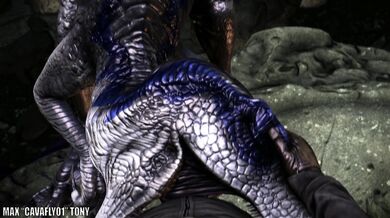 Taken by the Raptors