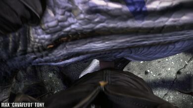 Taken by the Raptors