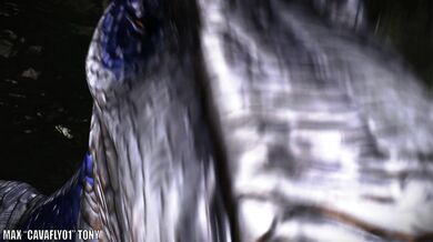 Taken by the Raptors