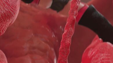 Etna's Beehive Honeypot