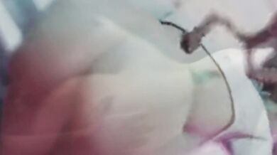 Twerk My Fleshy Ass to the Music at HMV