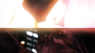 Ninja Gaiden Raped in Part 1 of Hentai Video