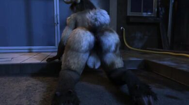 - Throbbing Gay Cocks