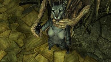 Journey into the Realm of the Daedra with a Sexy Khajiiti Nymph's Enslaved Odyssey, Book II
