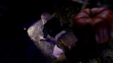 Tissues of the Wet Kind: The Straw Man Journey to Pleasure Town