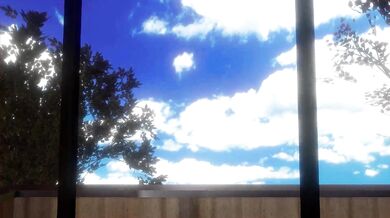 Love Wolf: The Shape of a Hot Foursome