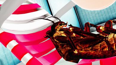 - KiruNeru's Poolside Bugs 4k could be rewritten as KiruNeru invites you to join her by the pool for some steamy bug action in stunning 4k resolution!