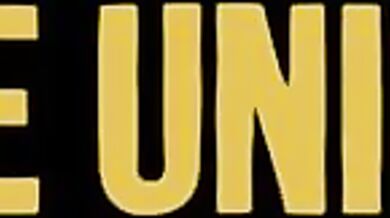 The Feline Seductress