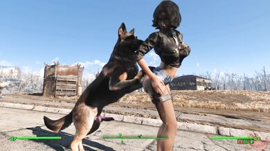 Tits and Asses in Action - FO4 Back in the Swing