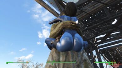 Tits and Asses in Action - FO4 Back in the Swing