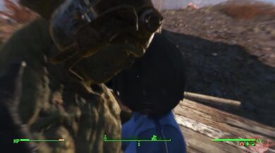 Tits and Asses in Action - FO4 Back in the Swing