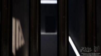 The Joy of Haku's Pussy