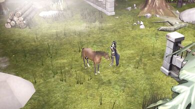 Stallion Ride 'em Hard 'til They Can't Breathe 69: A Porn Parody