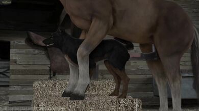 Pregnant Bitch with a Horse Cock: Wolf Girl's Virgin Pussy Raped