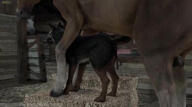 Pregnant Bitch with a Horse Cock: Wolf Girl's Virgin Pussy Raped