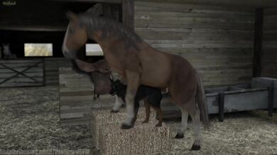 Pregnant Bitch with a Horse Cock: Wolf Girl's Virgin Pussy Raped