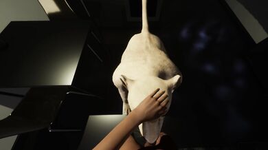 Eating with a Boner: A Feast for the Eyes and Tongue