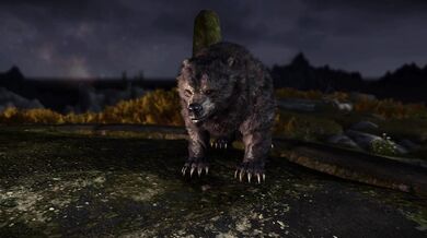 Darna Gets Fucked by a Bear in Skyrim