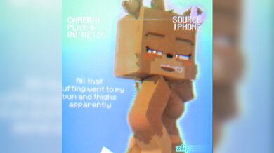 SlipperyT's Naughty Dance in Minecraft's Night