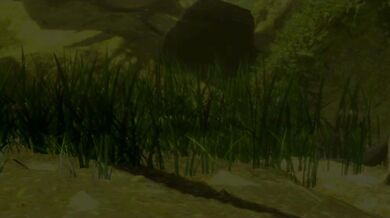 Kleinvoimond's Egg Fuck