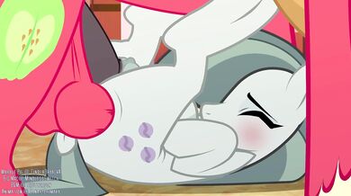 Gigantic Burger and Velvety Dessert - A Tasteful Experience [canaryprimary]