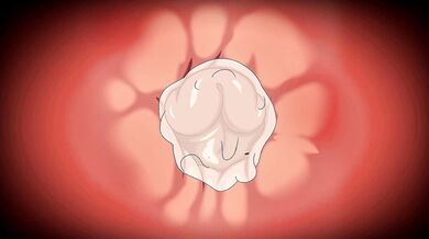 Fucking Season: The Rutting of the Animals