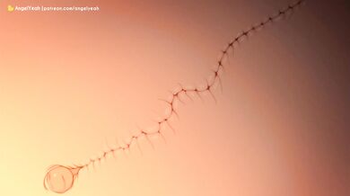 Naruto's Naughty Love with Sakura: An Angelic Encounter