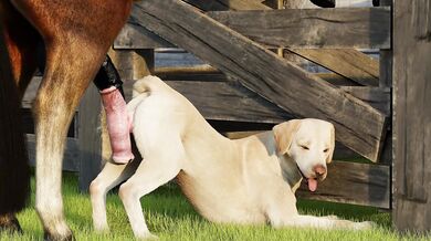 Busty Bitch in Heat, Ready to Ride