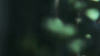 Ellie and Deathclaw go Hardcore!