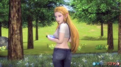 The Sheikah Slate - A Woozy Tale of Alt Lust