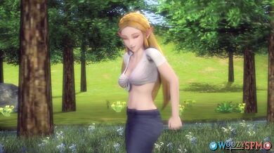 The Sheikah Slate - A Woozy Tale of Alt Lust