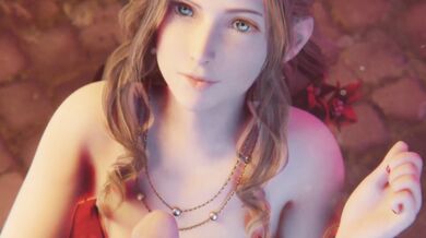 Aerith's Tight Pussy Gets Nailed in HMV PMV