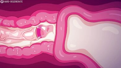 Jizz Explosion and Cream Filling Collection