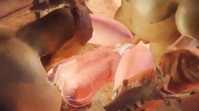 Immersive Skyrim Fuck Fest Episode 10: A Journey to the Cumming of the Dragons