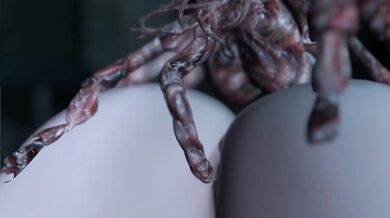 Fucking 2B in a Dreamlike State