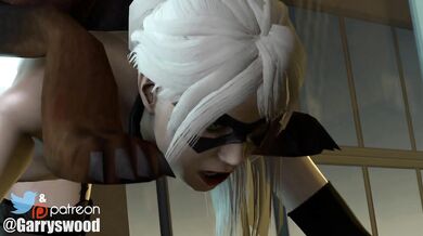 Wild Black Cat's Naughty Rampage