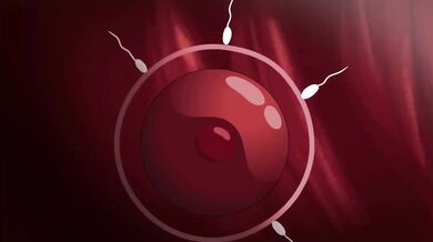 Fucking the Naughty Neighbors: A Threesome with Noire and Tharja from Fire Emblem [KataMeleon]