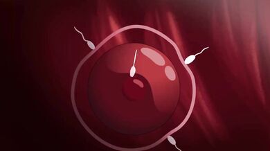 Fucking the Naughty Neighbors: A Threesome with Noire and Tharja from Fire Emblem [KataMeleon]