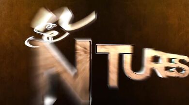 Erotic Escapade, Chapter IV: The Journey