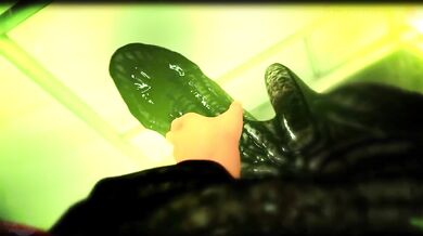 Insatiable Female Xenomorph Seduction