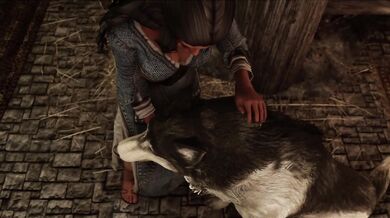 Unleashed Beasts: Horse vs. Dog in the Animal Den of Desire