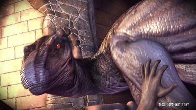 Fucking a Hot Camp Counselor in the Woods