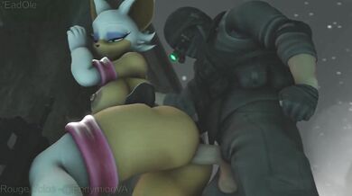 Assaulted and Captured by the Rogue Soldiers