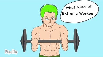 Nico Robin's Rough and Ready Ride with Zoro