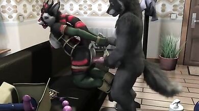 BDSM Beastiality