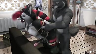 BDSM Beastiality