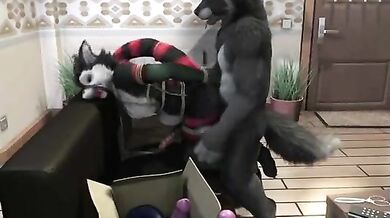 BDSM Beastiality